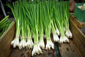 Portsmouth Farmers’ Market + Garlic Scape Pesto | The Second Lunch