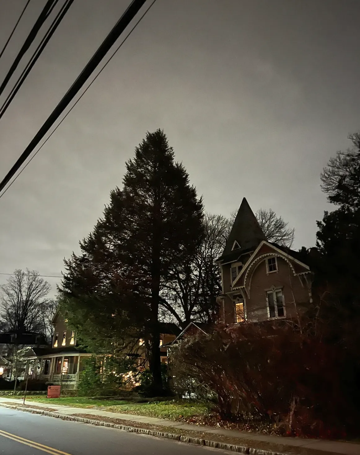 photo of a tall tree and a victorian house in front of a hazy night sky